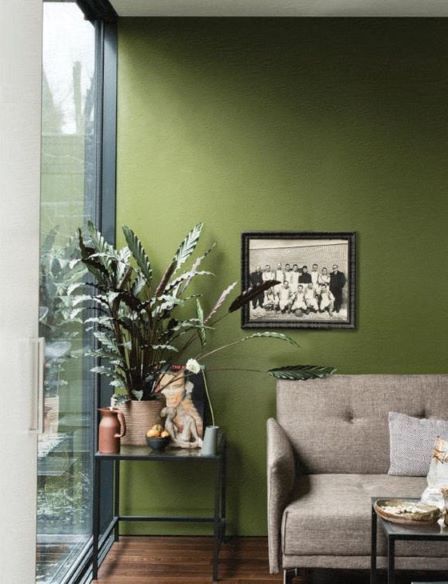Farrow & Ball - Bancha No. 298 - Image 3
