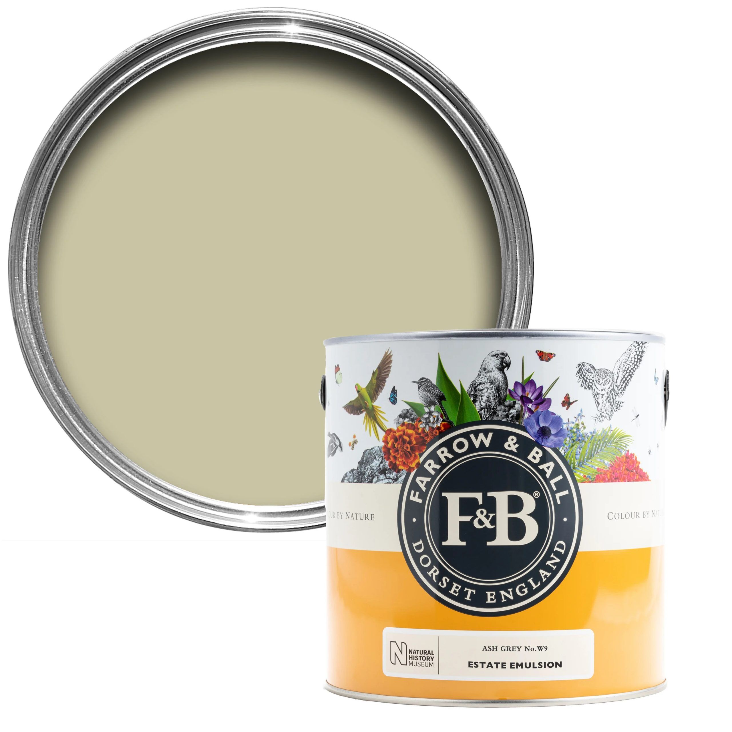 Farrow & Ball - Ash Grey No. W9 - Image 2