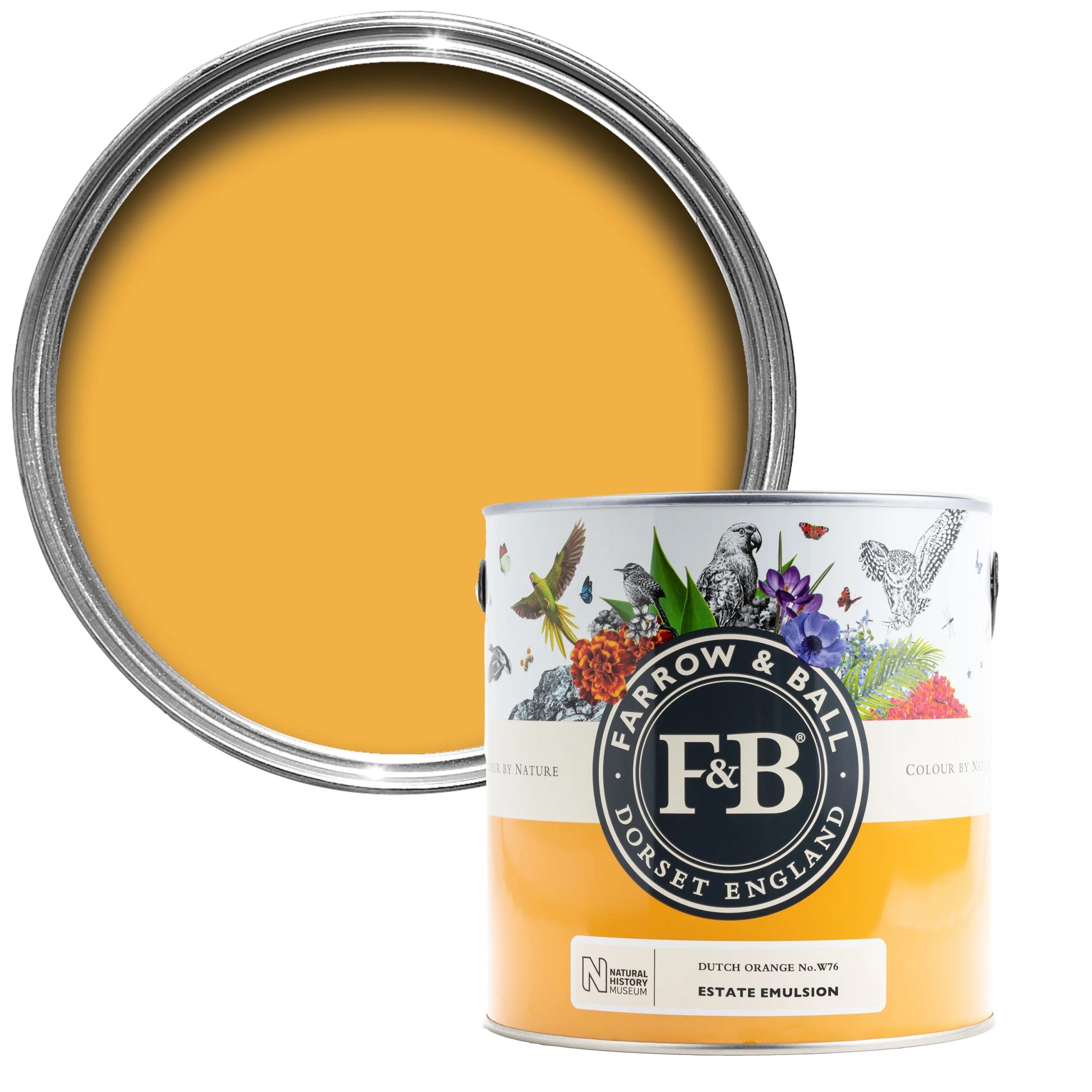 Farrow & Ball - Dutch Orange No. W76 - Image 2