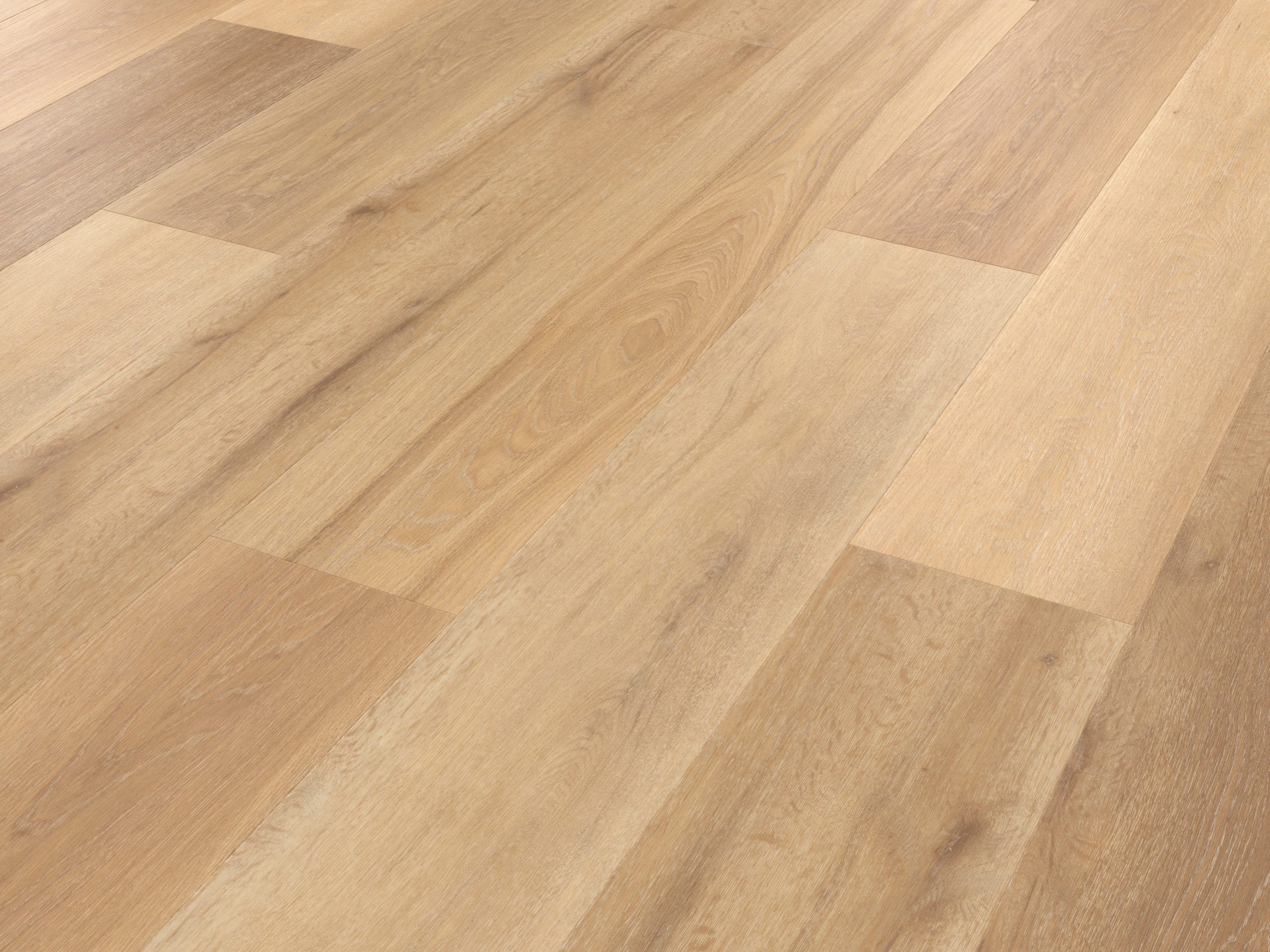 Palio Korlok - Warm Ash - Image 2