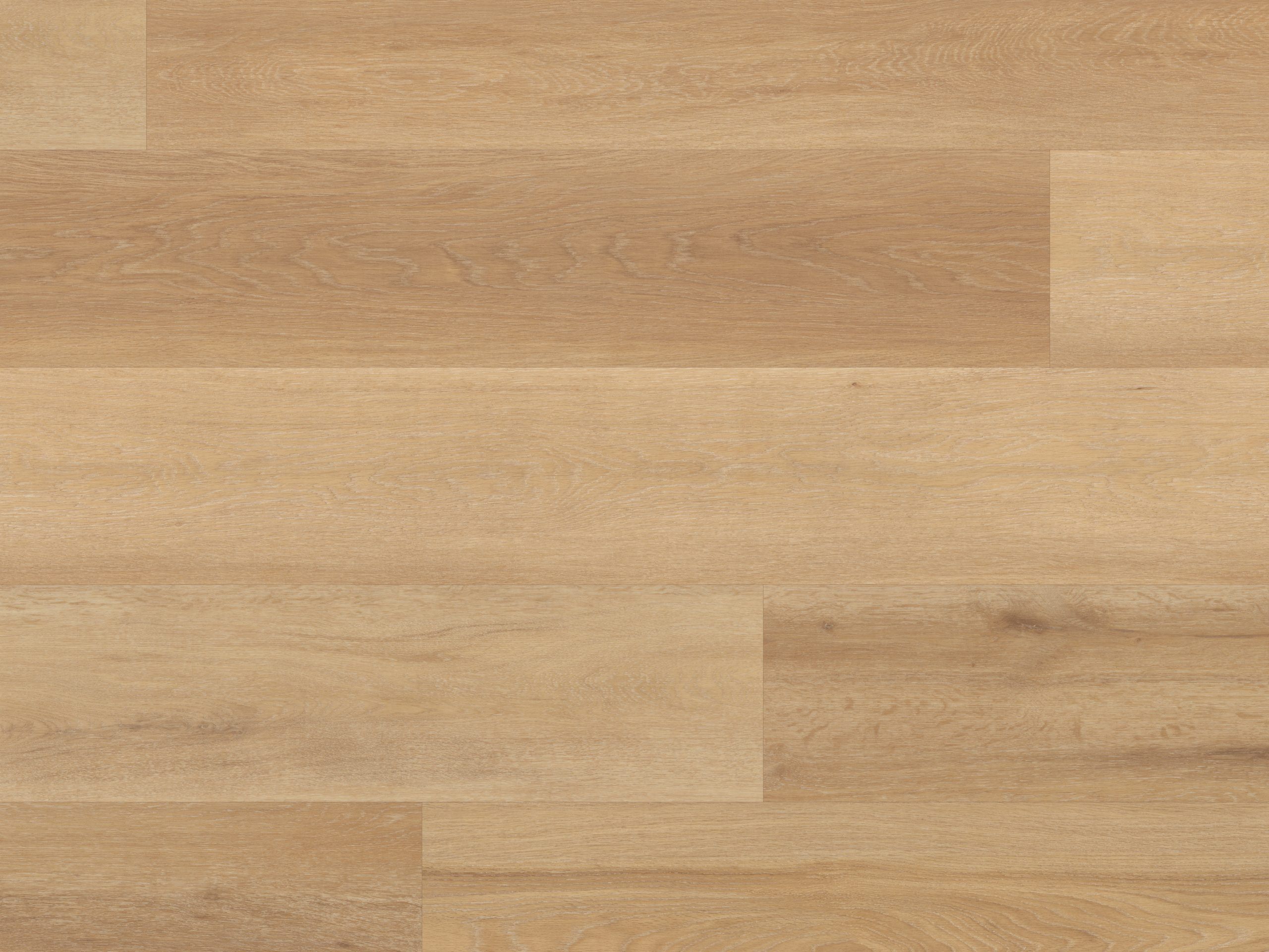 Palio Korlok - Warm Ash - Image 3