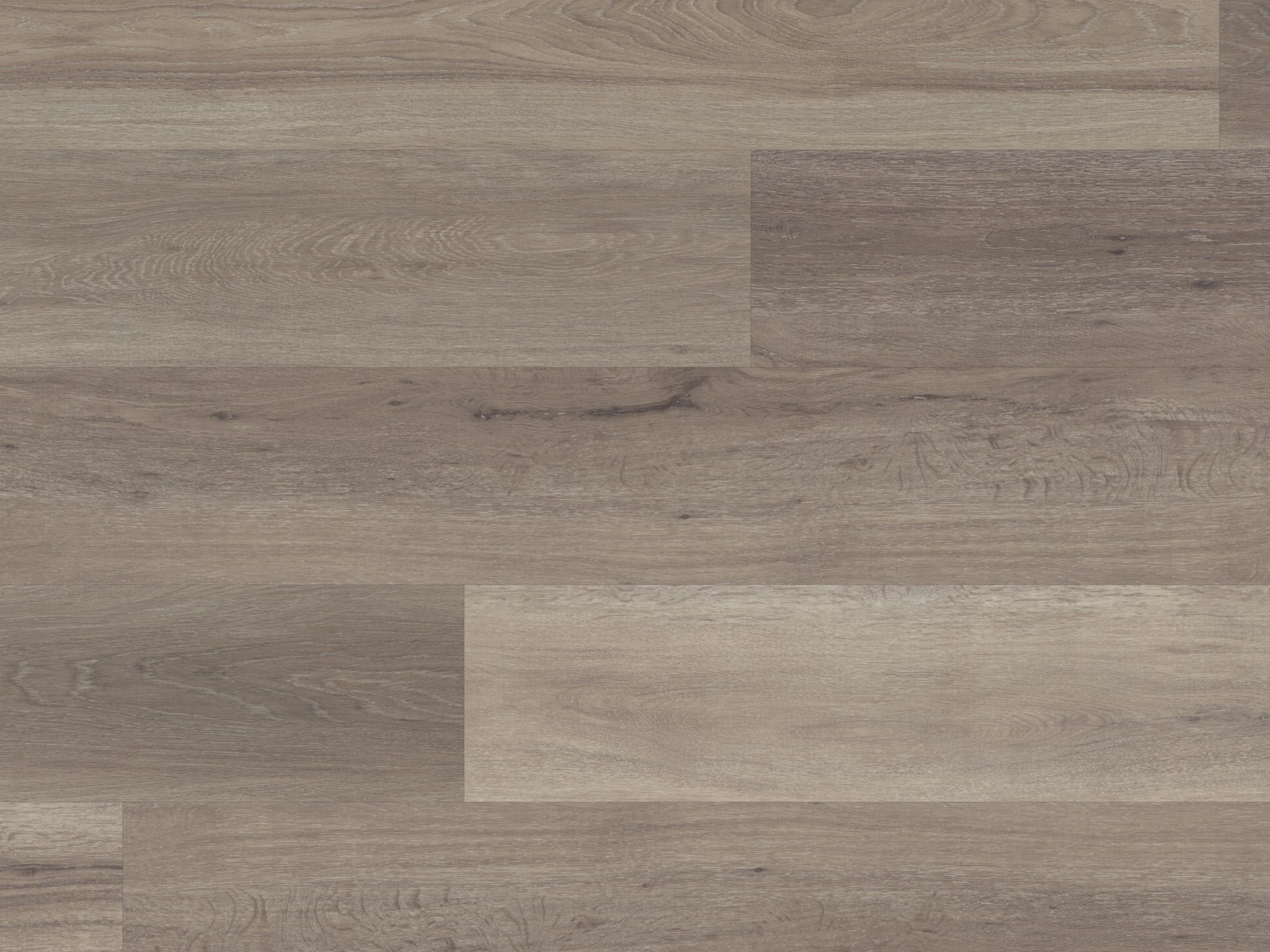 Palio Korlok - Washed Grey Ash - Image 3