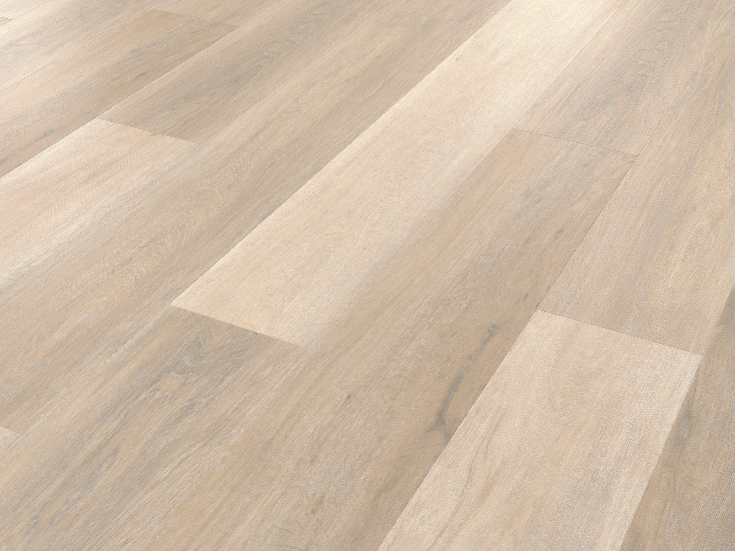 Palio Korlok - Texas White Ash - Image 2