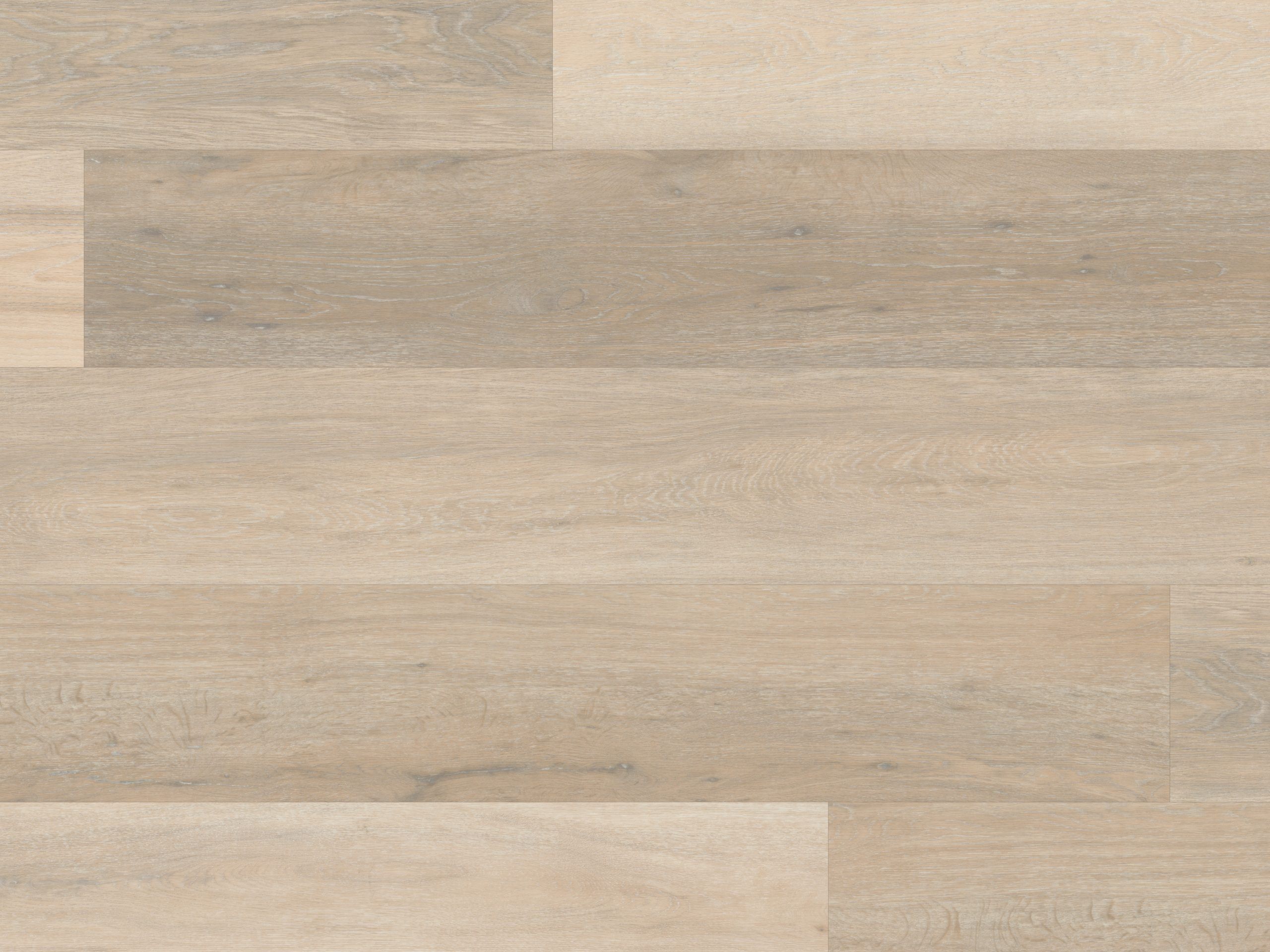 Palio Korlok - Texas White Ash - Image 3