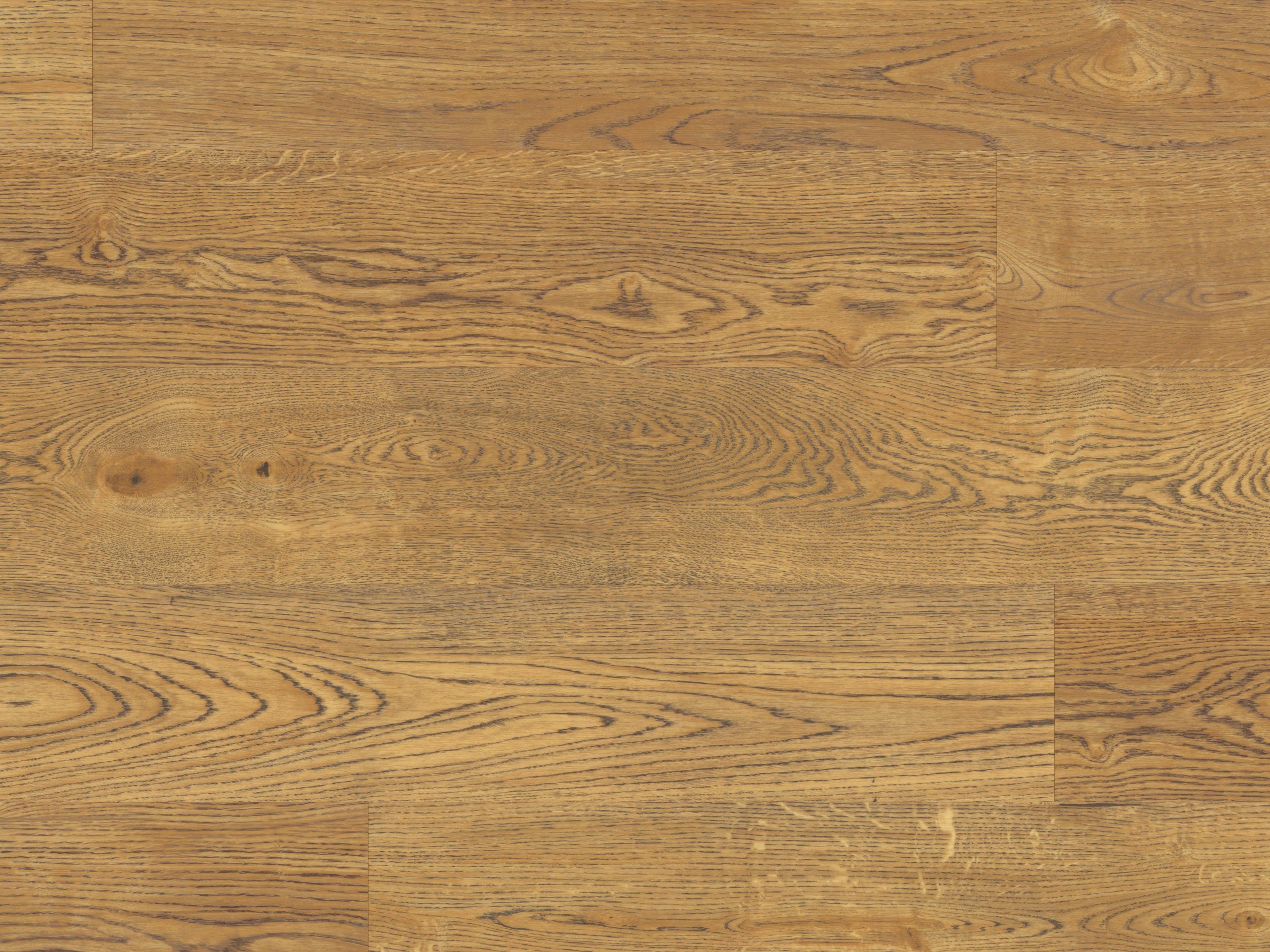 Palio Korlok - English Character Oak - Image 3