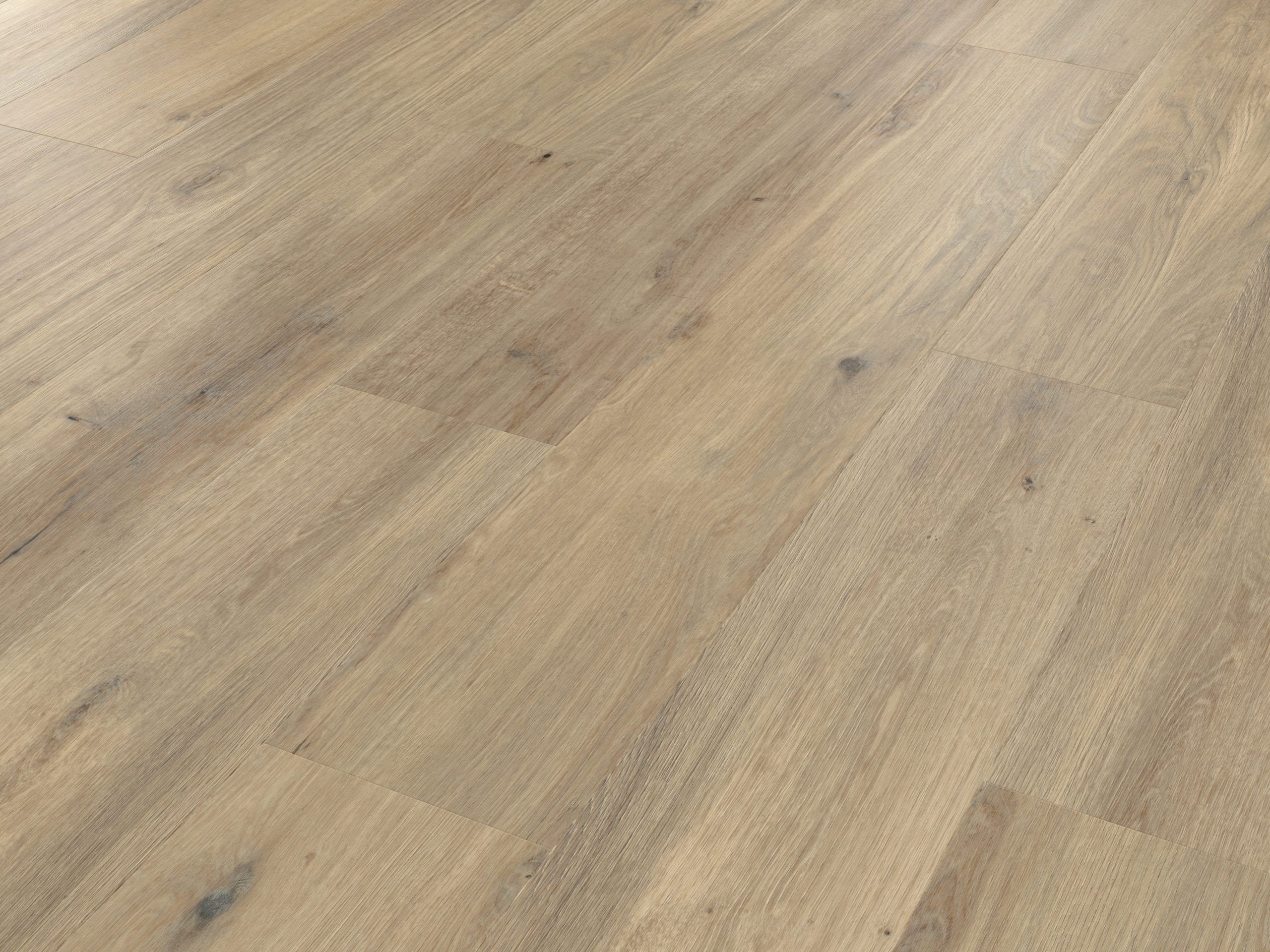 Palio Korlok - Canadian Urban Oak - Image 2
