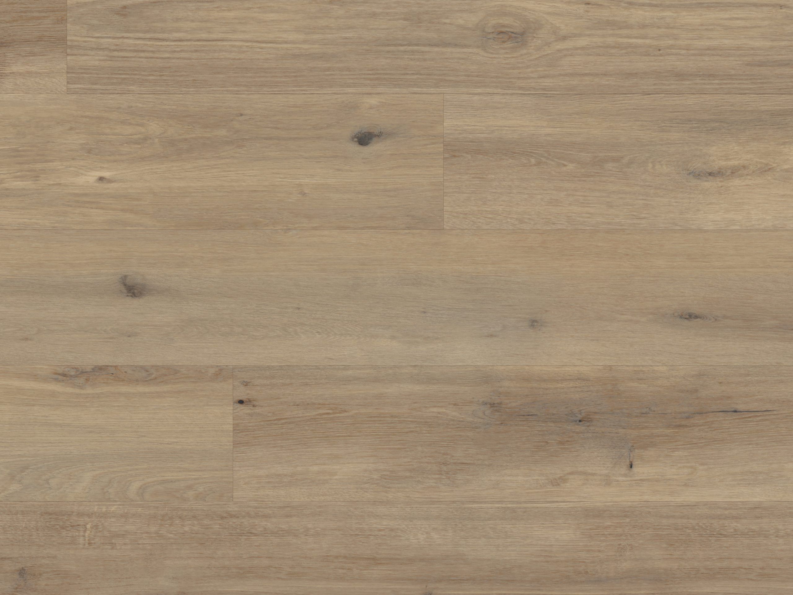 Palio Korlok - Canadian Urban Oak - Image 3