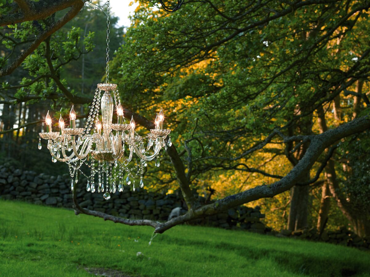 Raphael 8 Light Chandelier Champagne Crystal<br>Champagne Glass - Image 6