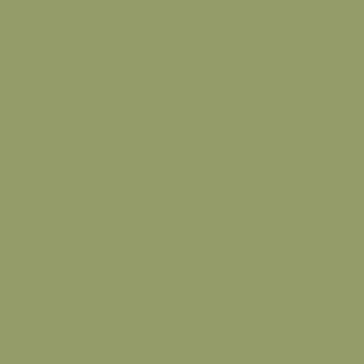 Farrow & Ball - Olive No.13