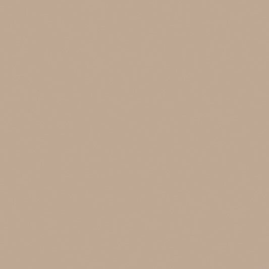 Farrow & Ball - Smoked Trout No. 60