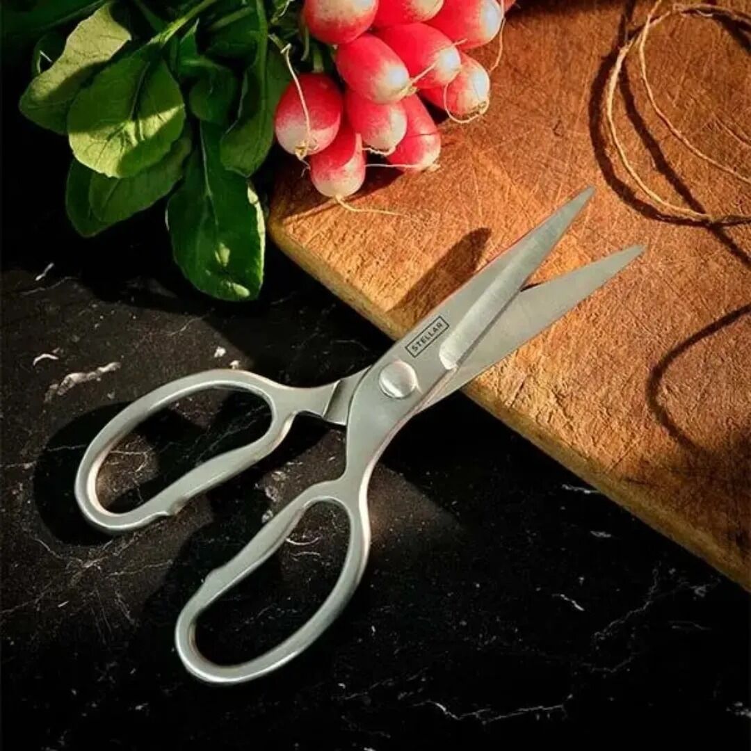 Stellar SA85, Kitchen, 8" Forged Scissors - Image 2