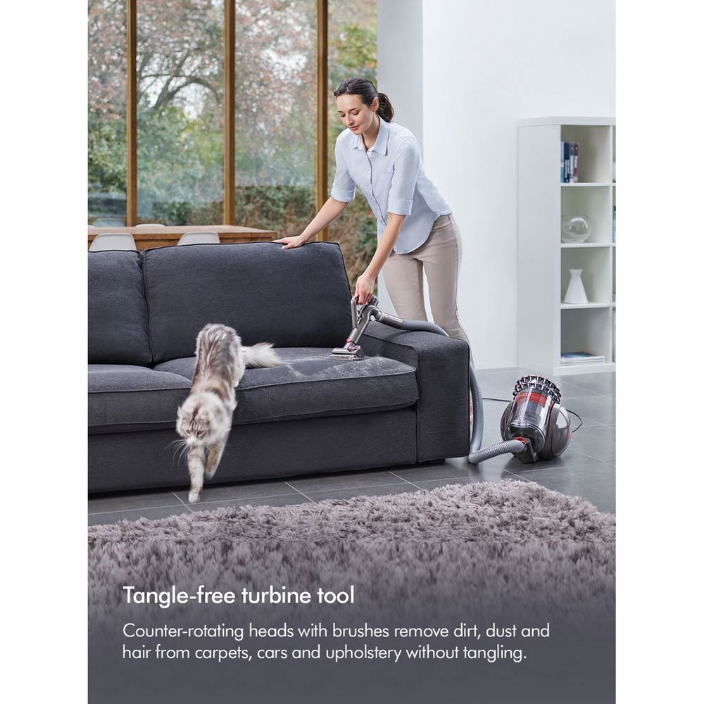Dyson BIGBALLANIMAL2 Big Ball Animal 2 Vacuum Cleaner - Grey - Image 3