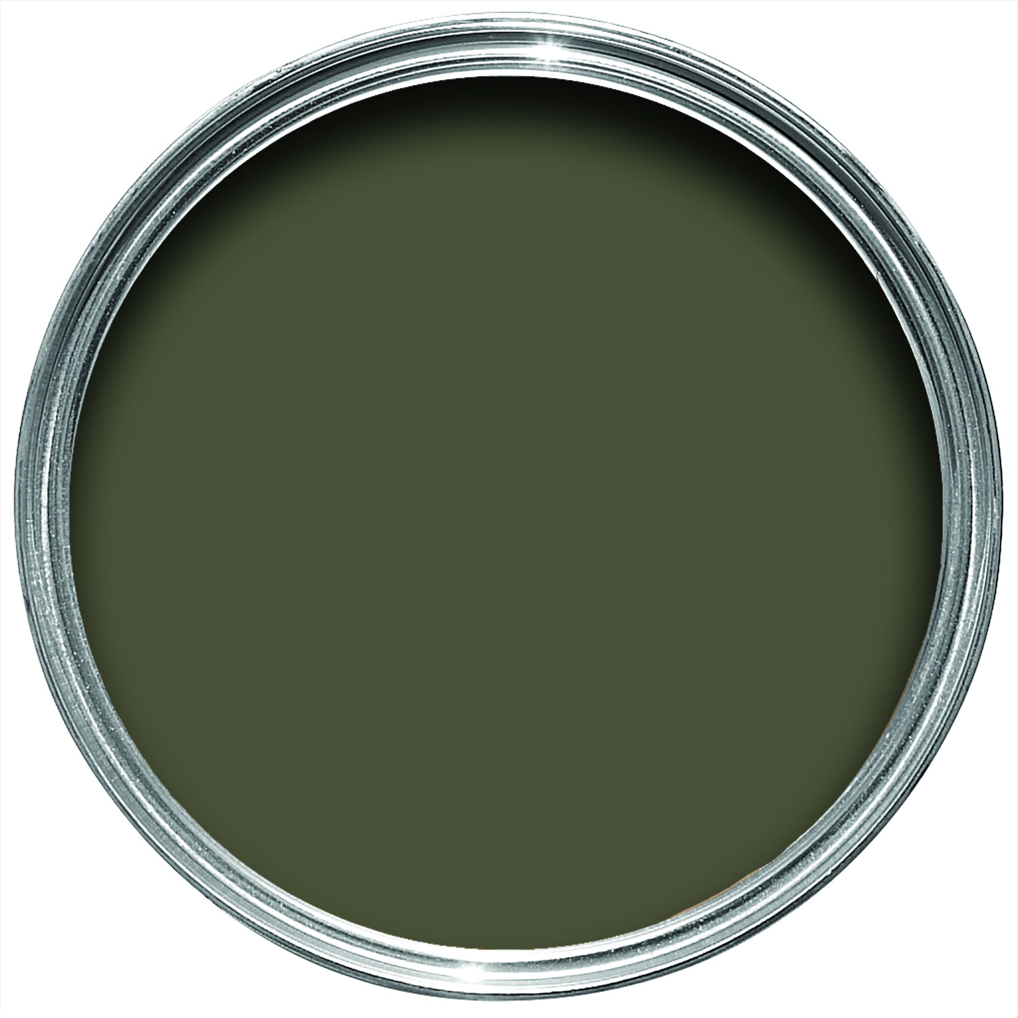 Farrow & Ball – Reduced Green No. 313 - Image 2