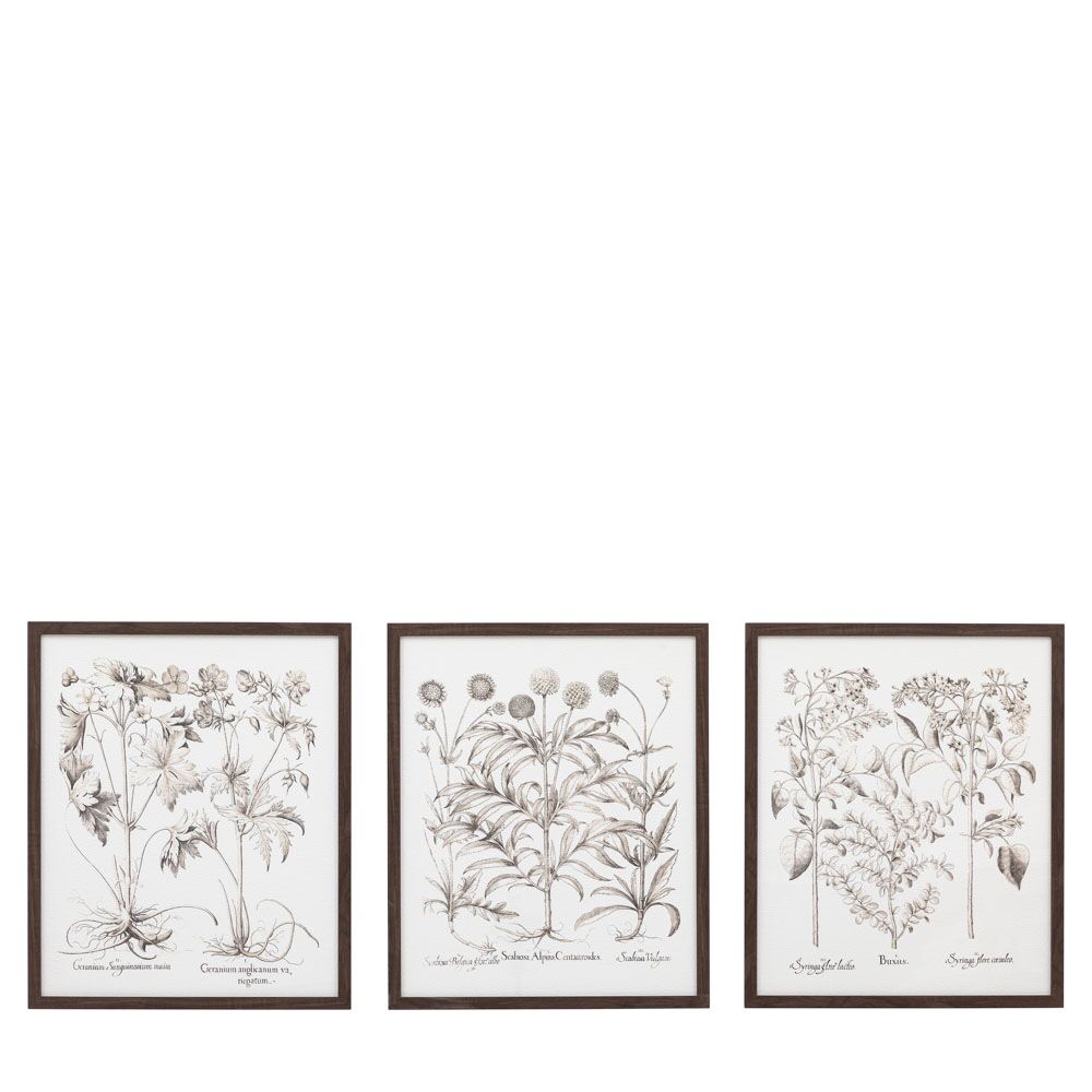 Evergreen Framed Art Set of 3 - Image 5