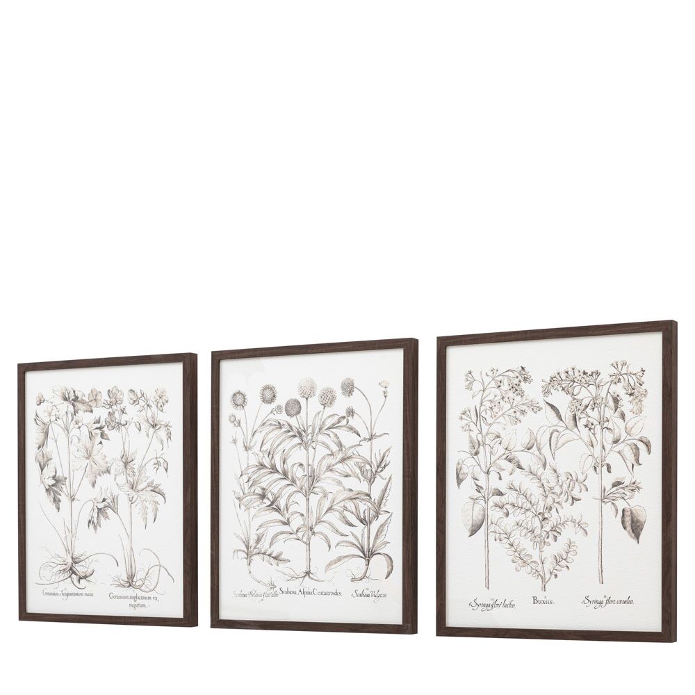 Evergreen Framed Art Set of 3 - Image 6