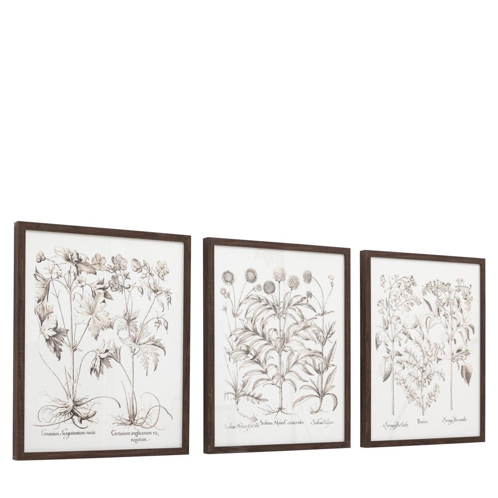 Evergreen Framed Art Set of 3 - Image 7
