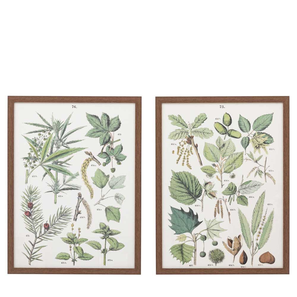 Foliage Study Framed Art Set of 2 - Image 5