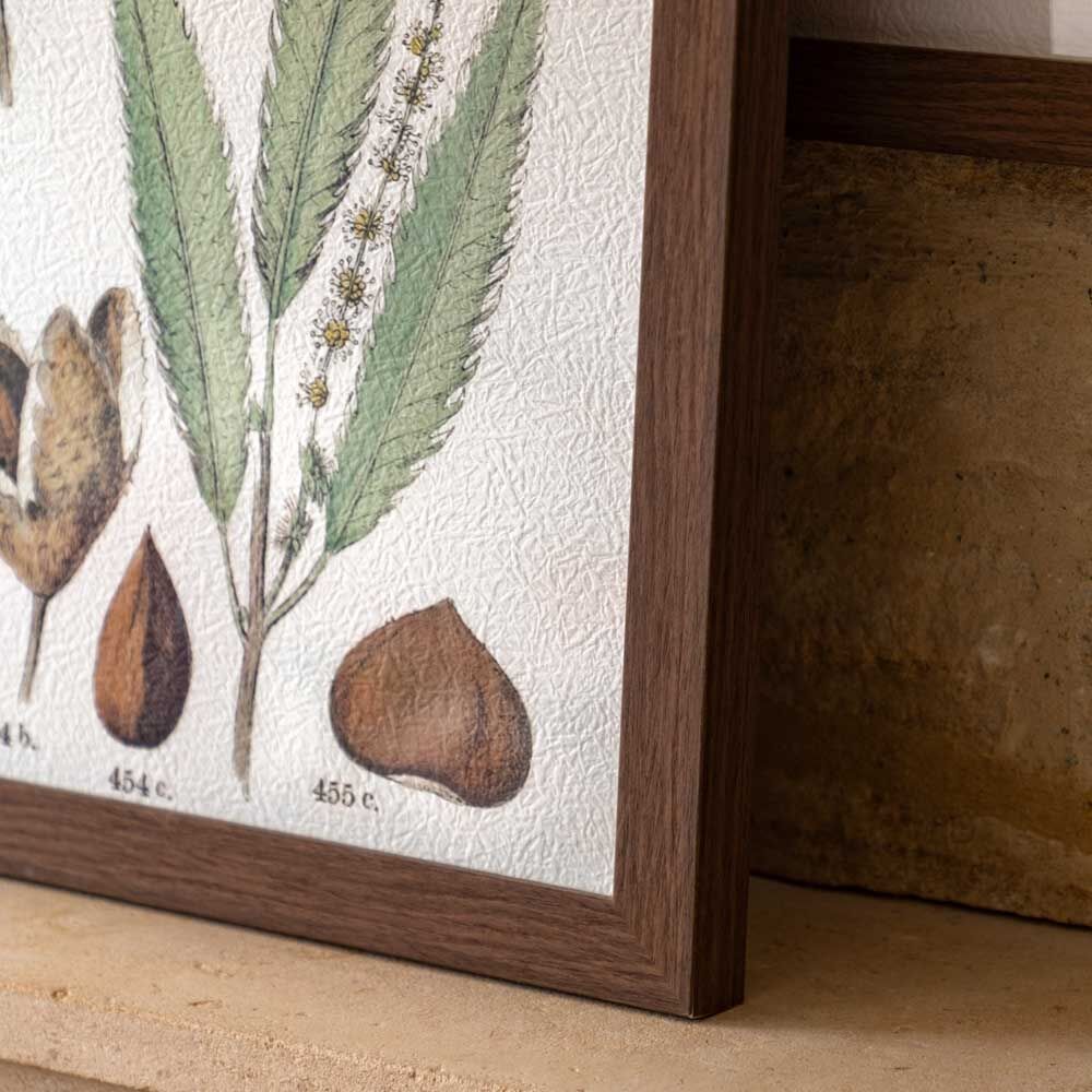Foliage Study Framed Art Set of 2 - Image 2