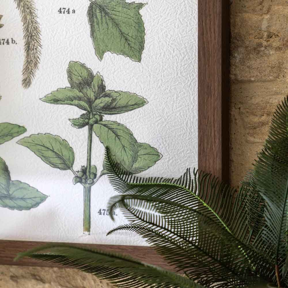 Foliage Study Framed Art Set of 2 - Image 3