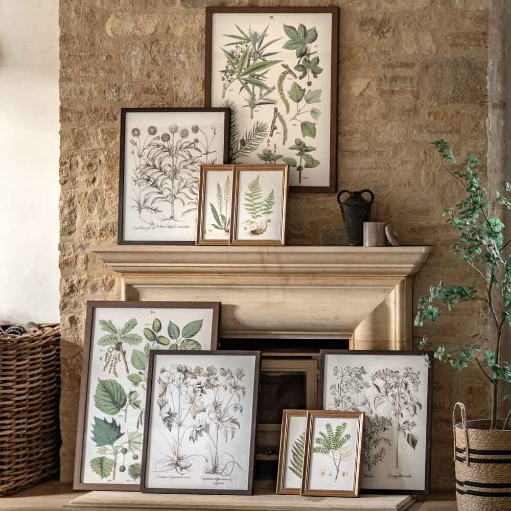 Foliage Study Framed Art Set of 2 - Image 4
