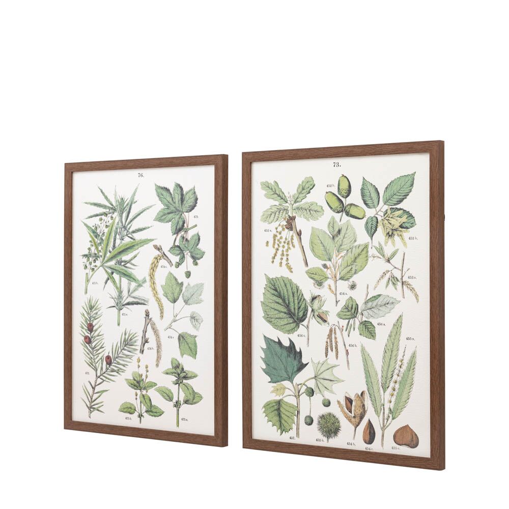 Foliage Study Framed Art Set of 2 - Image 6