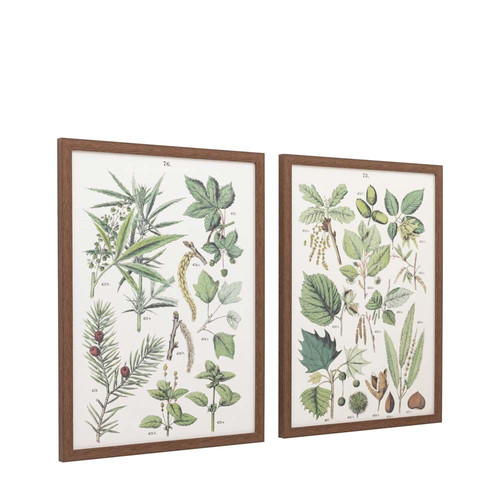 Foliage Study Framed Art Set of 2 - Image 7