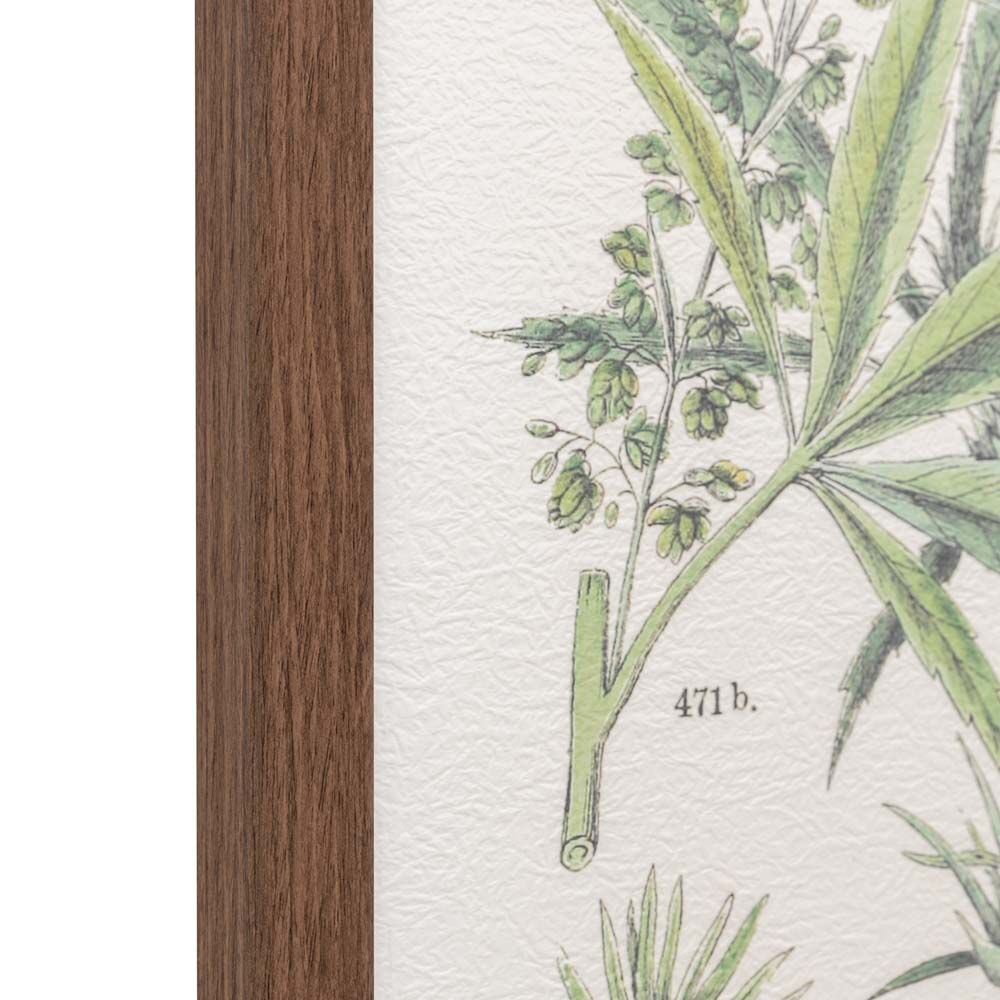 Foliage Study Framed Art Set of 2 - Image 8