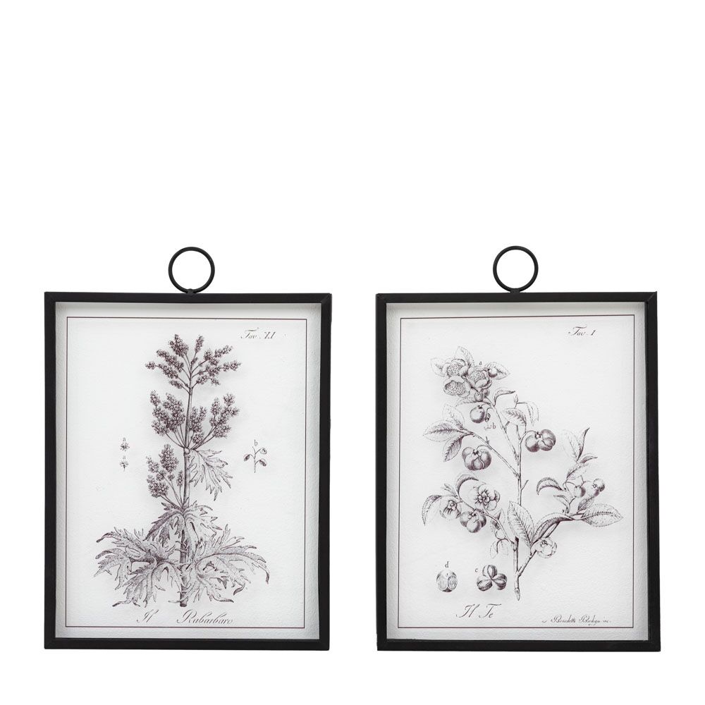Petiole Art Set of 2 - Image 4