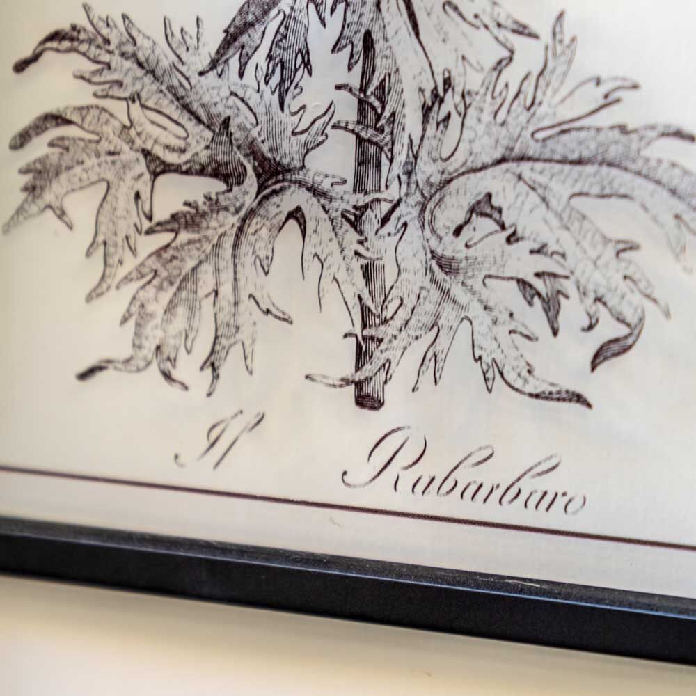 Petiole Art Set of 2 - Image 3