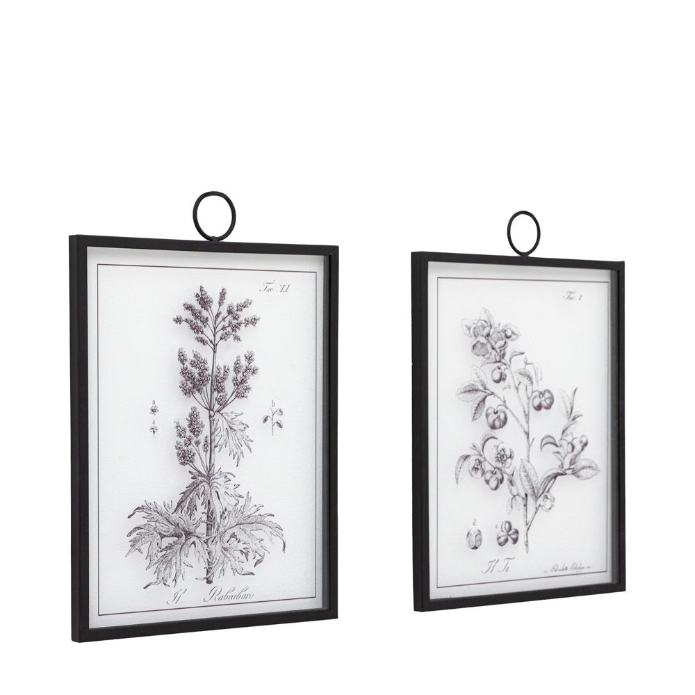 Petiole Art Set of 2 - Image 5