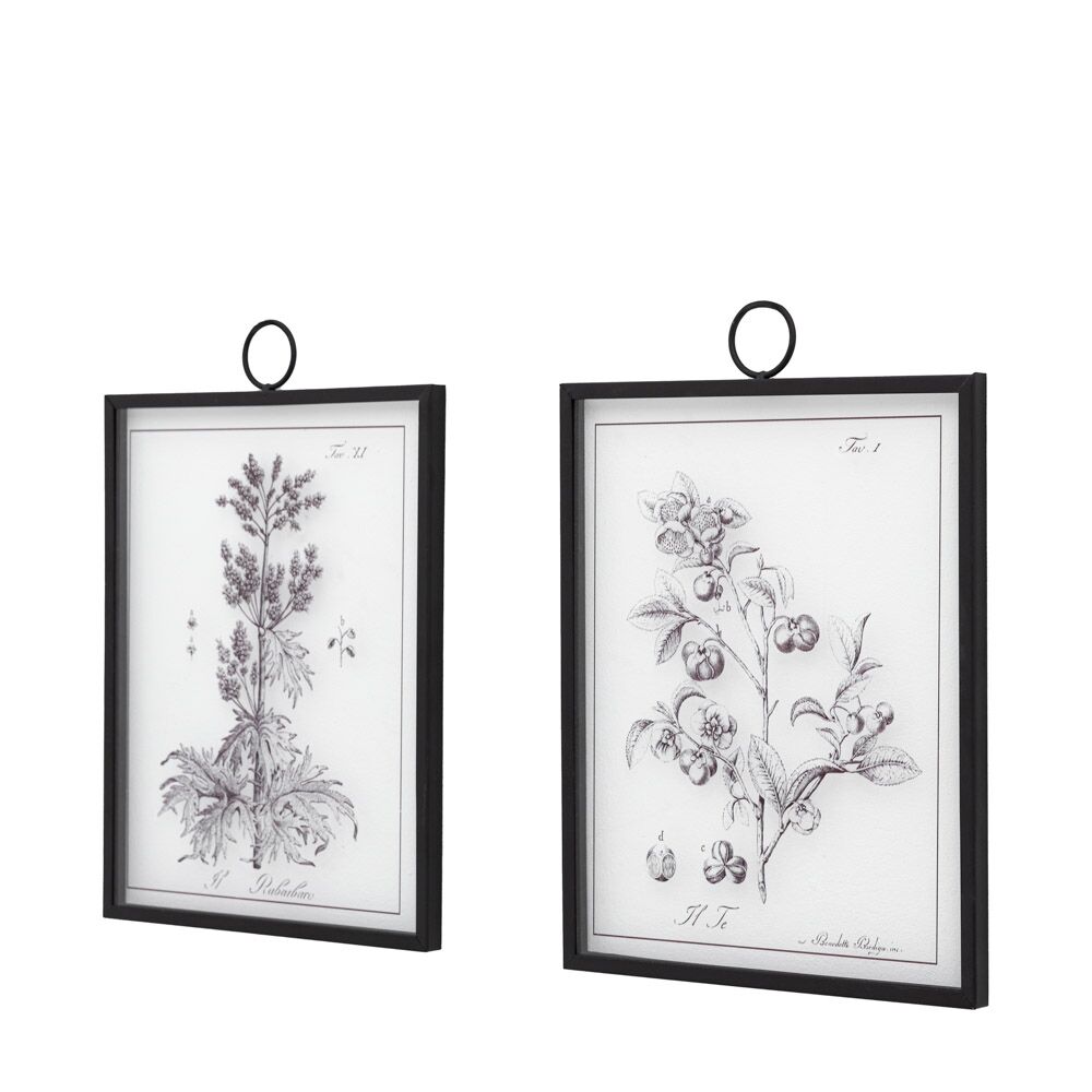 Petiole Art Set of 2 - Image 6