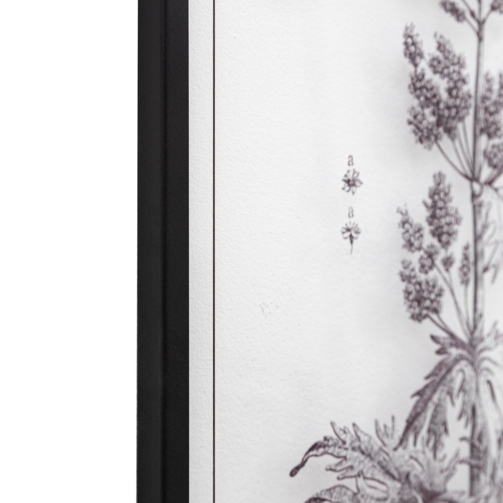Petiole Art Set of 2 - Image 7