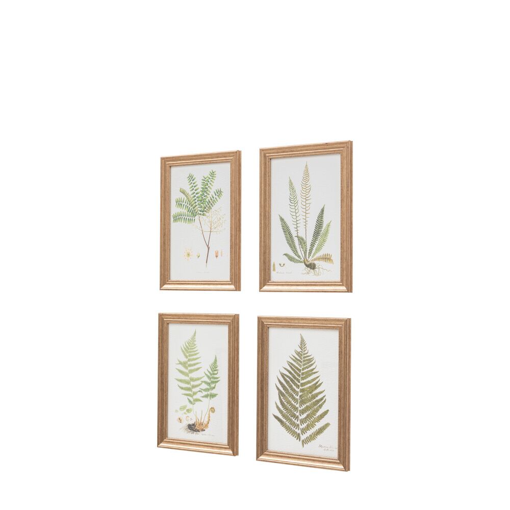 Assorted Ferns Framed Art Set of 4 - Image 2