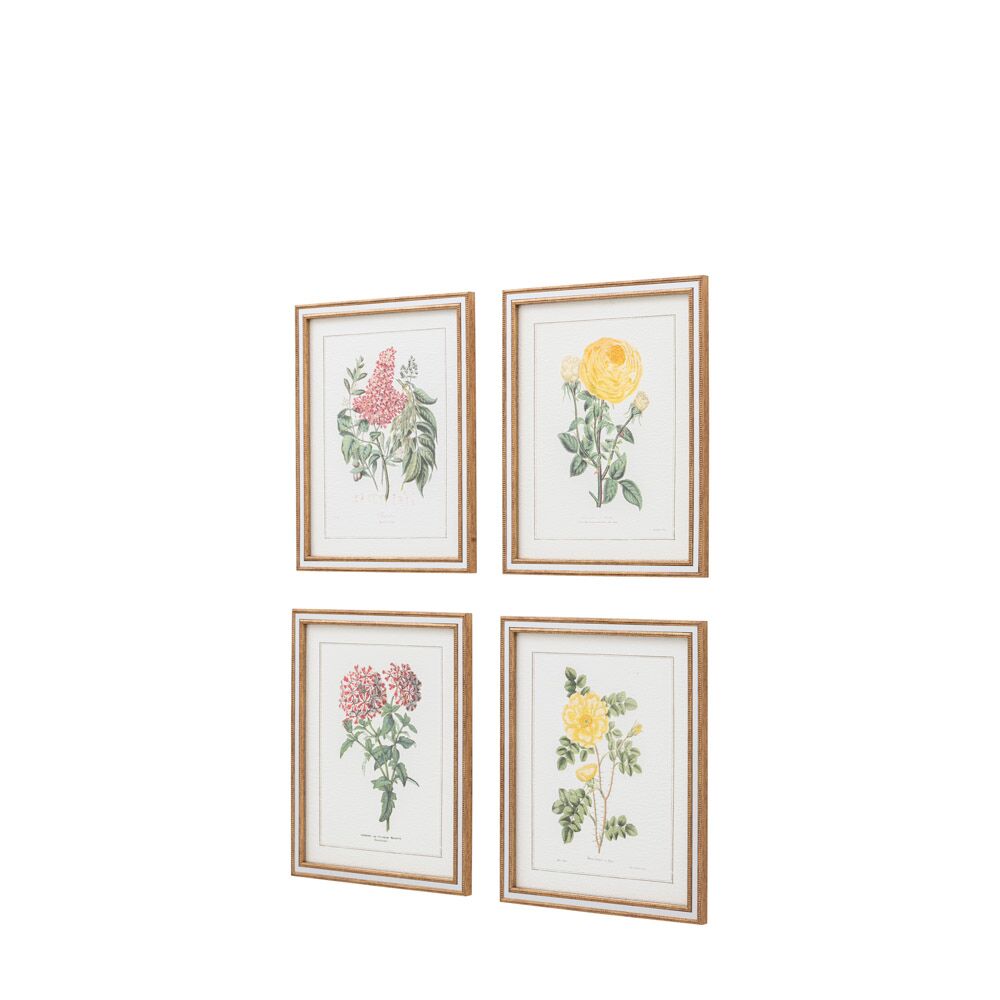 Floral Quartet Framed Art Set of 4 - Image 2