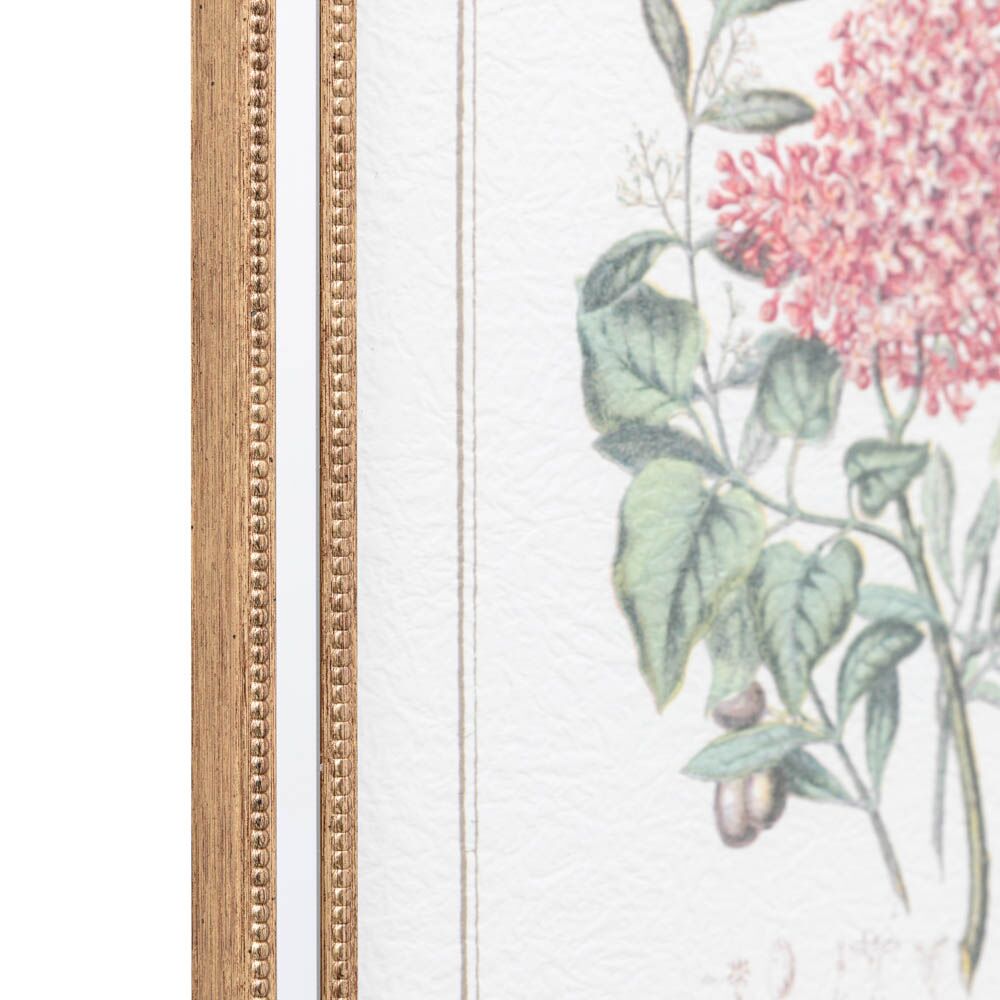 Floral Quartet Framed Art Set of 4 - Image 4