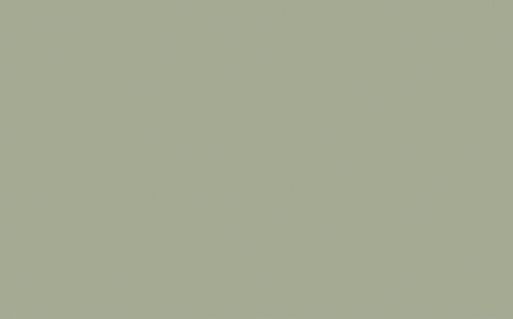 Little Greene - Boringdon Green 295