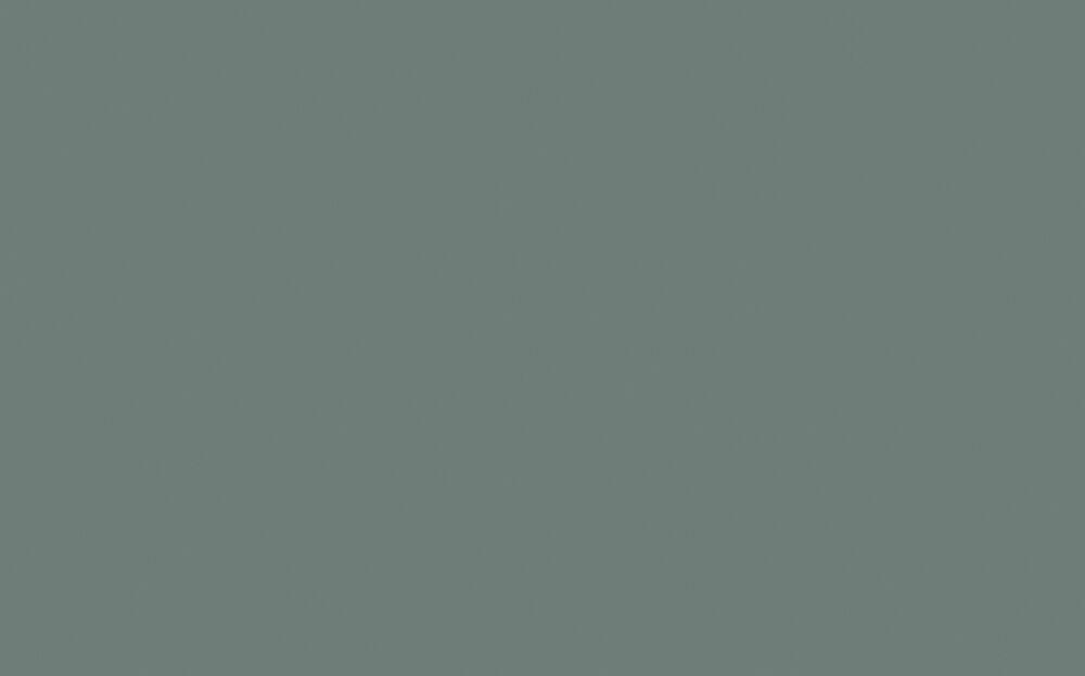 Little Greene - Livid 263