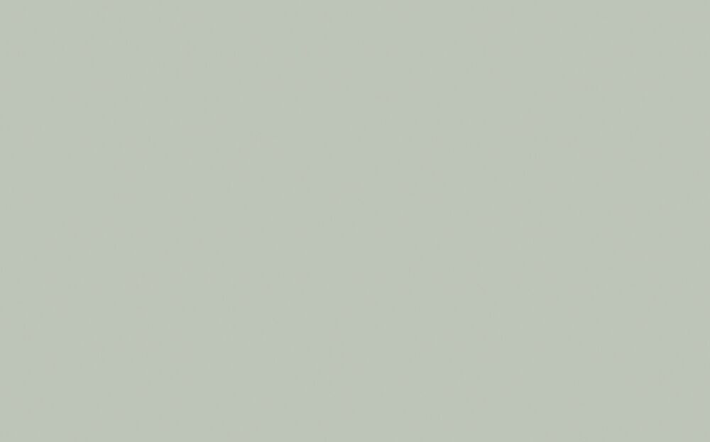 Little Greene - Pearl Colour - Dark 169