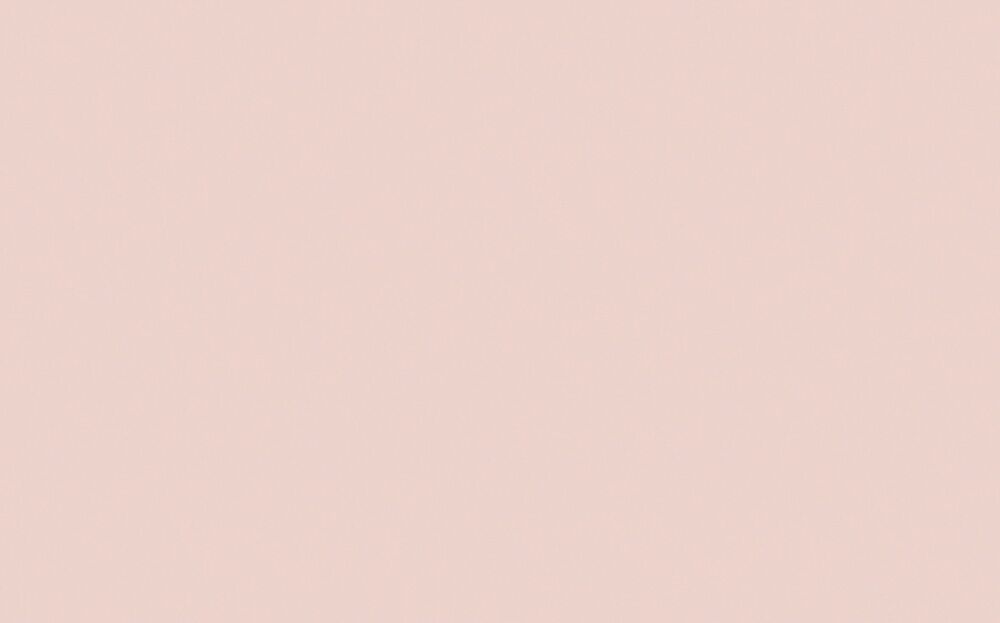 Little Greene - Pink Slip 220