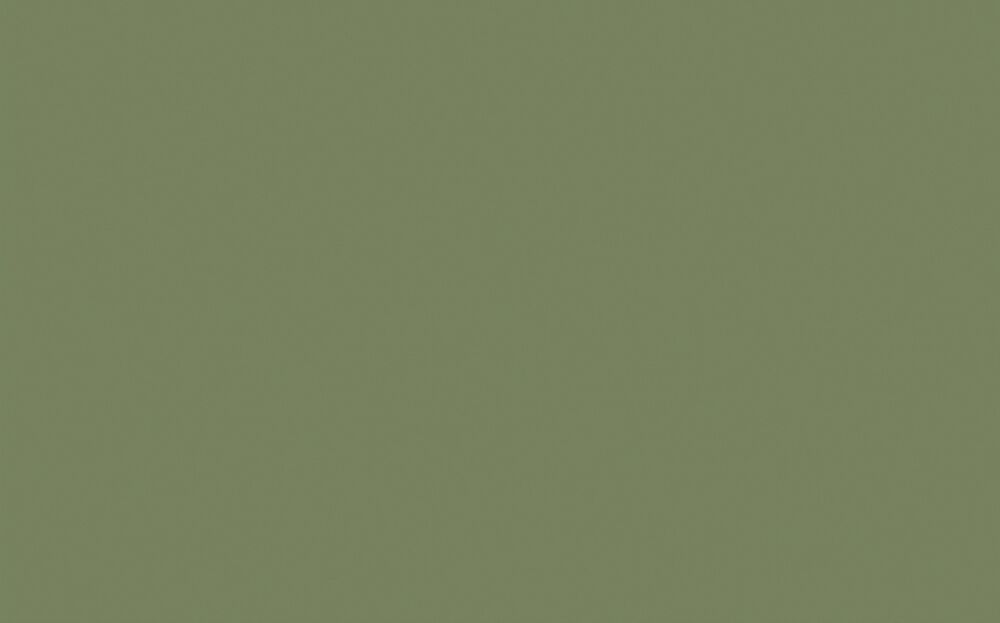 Little Greene - Sage Green 80