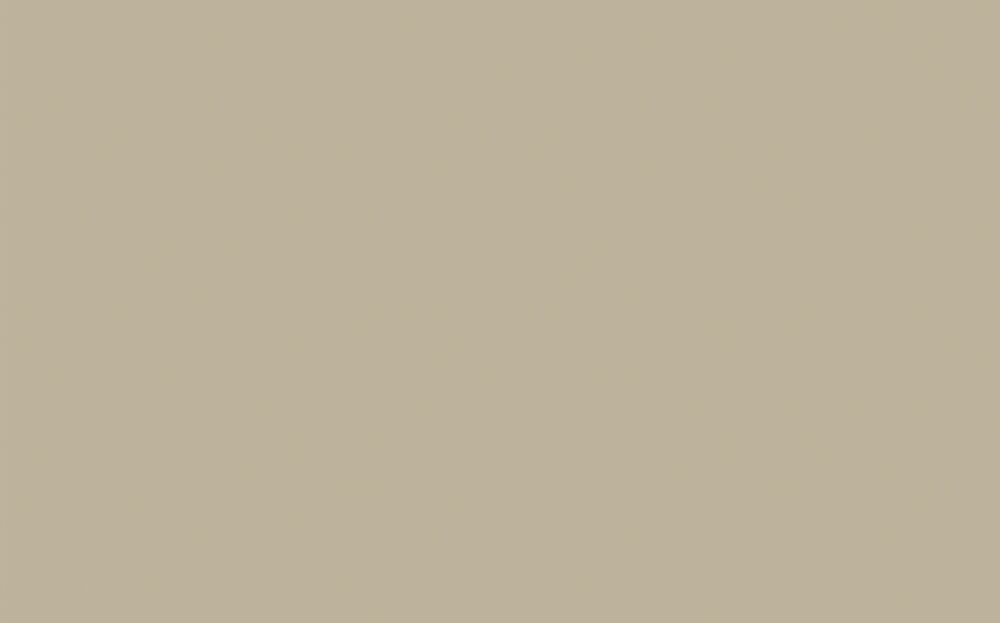 Little Greene - Slaked Lime - Dark 151