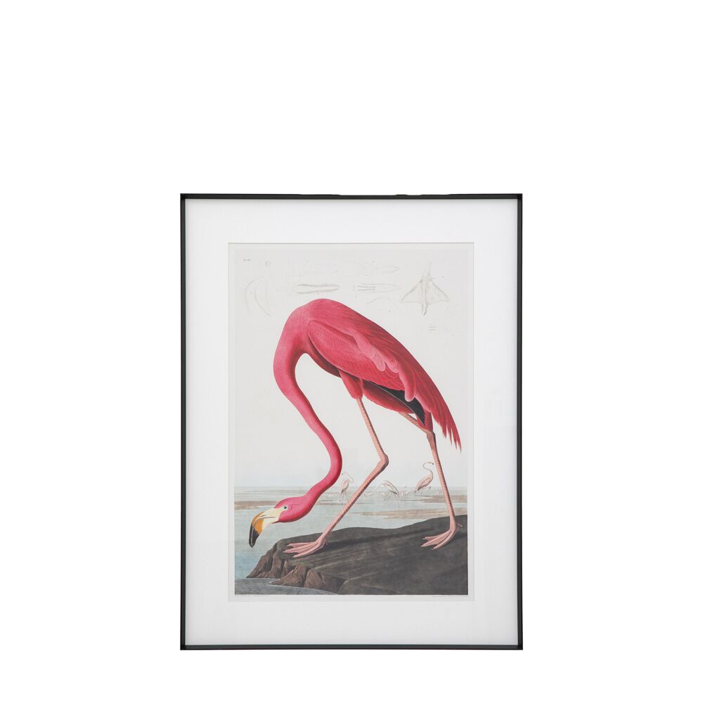 Wading Flamingo Framed Art - Image 4