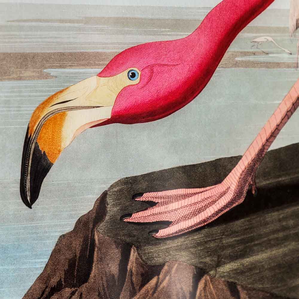 Wading Flamingo Framed Art - Image 3