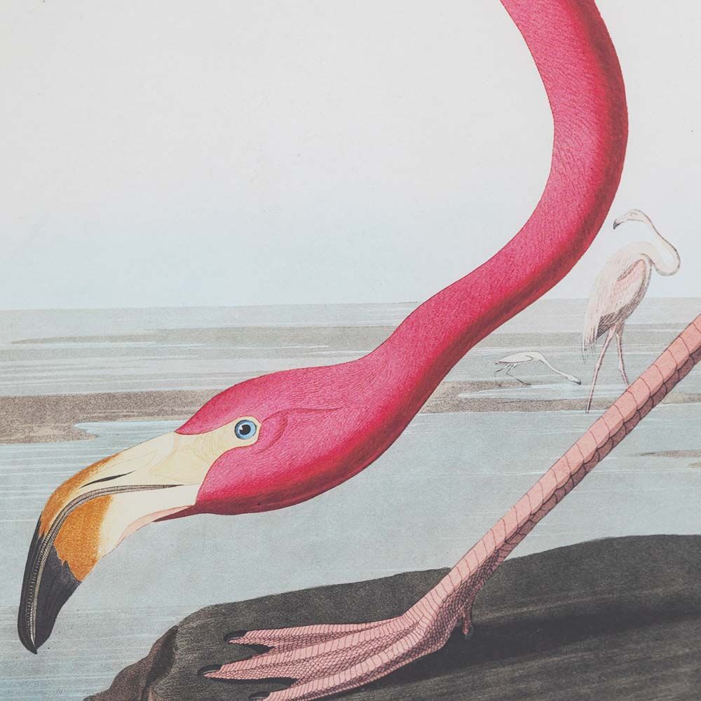 Wading Flamingo Framed Art - Image 8
