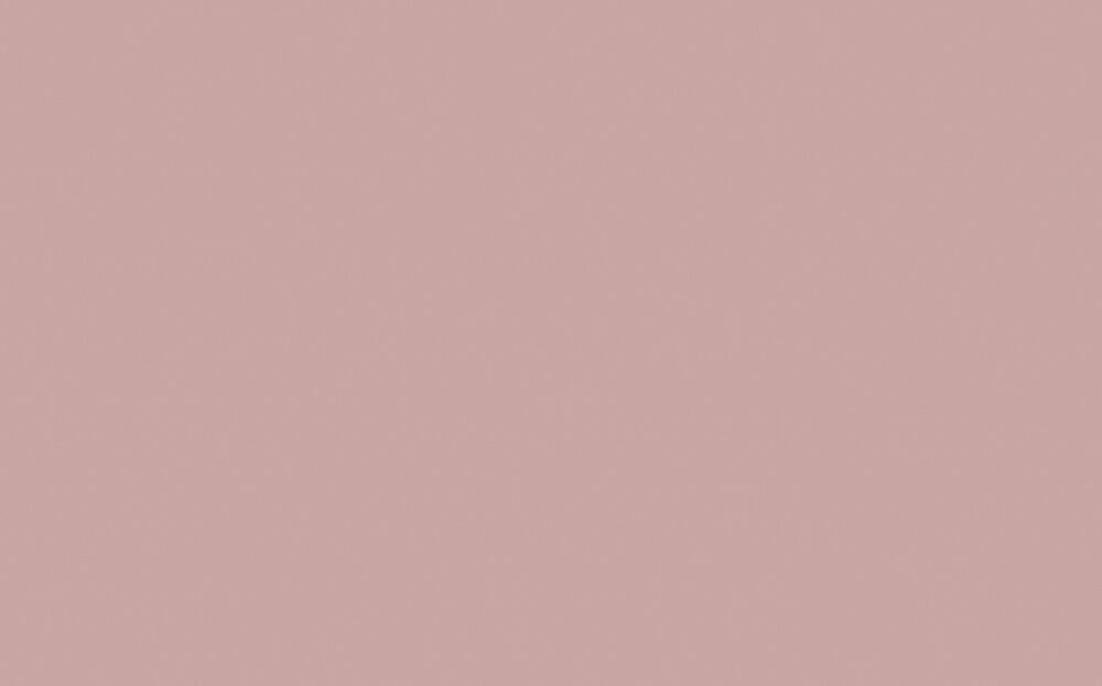 Little Greene - Hellebore 275