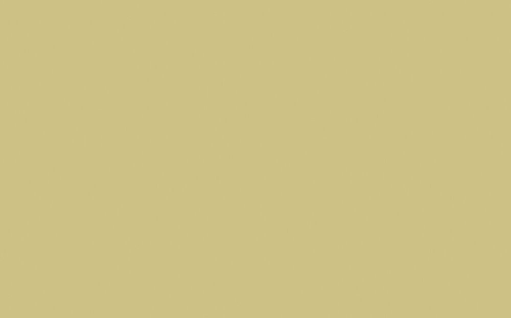 Little Greene - Oak Apple 63
