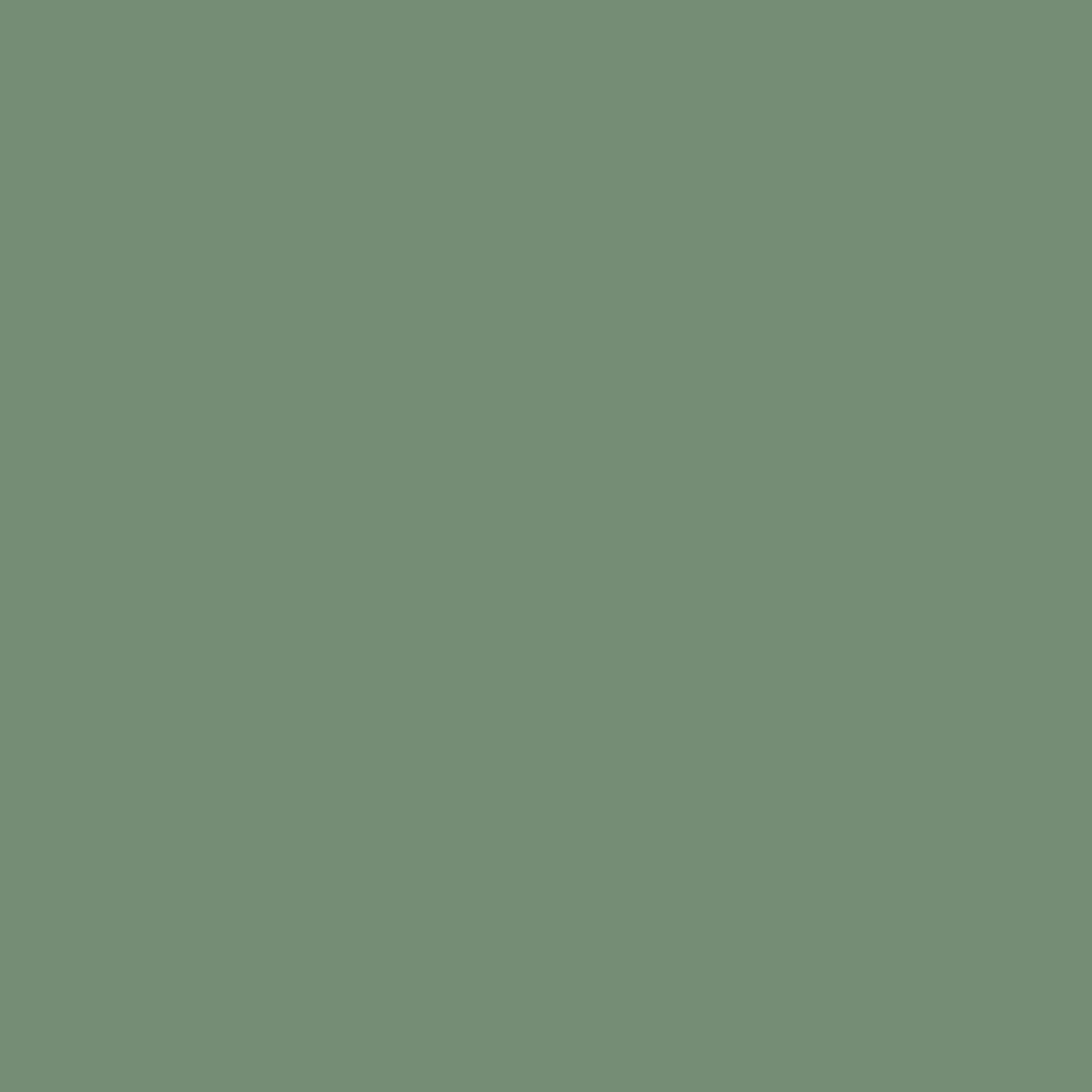 Dulux Heritage - DH Grass Green